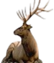 jagdquelle